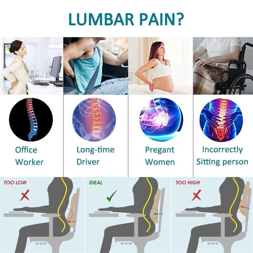 Back lumber support